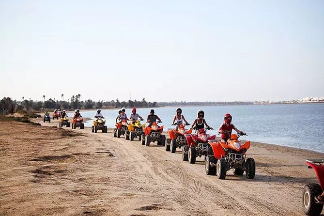 Private 3h00 quad ride on the island of Djerba - From Palm Djerba Café to the island’s open spaces