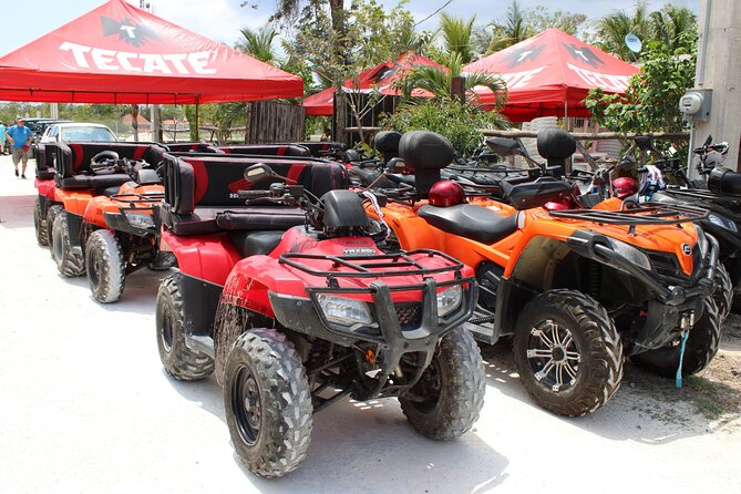 Private Buggy & ATV Tour to Jade Cavern Cenote: All-Inclusive - A private way to see more of Cozumel