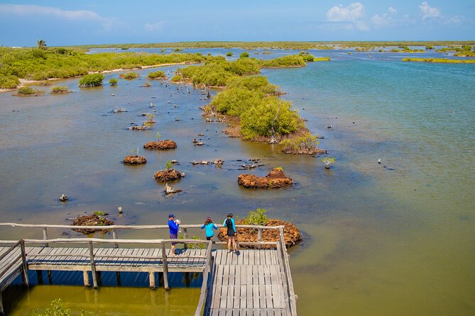 Private Buggy Tour and Punta Sur Park: All-Inclusive - Playa San Martín offers a quiet pause