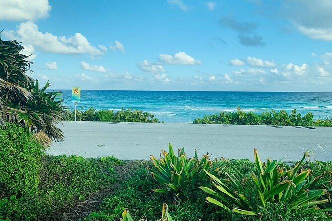 Private Buggy Tour in Cozumel, Snorkel & Lunch: All Inclusive - What all-inclusive means here