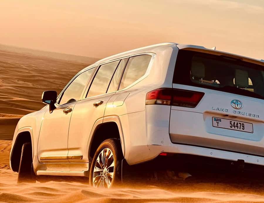 Private Gentle Sands Desert Experience Without Dune Bashing - Qatar’s desert in one compact outing