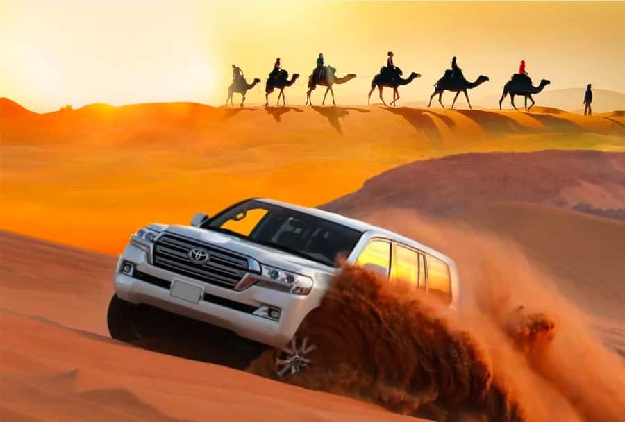 Private Gentle Sands Desert Experience Without Dune Bashing - Falconry and a look at desert tradition
