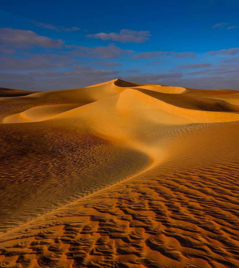 Private Gentle Sands Desert Experience Without Dune Bashing - The Inland Sea, where sand meets water