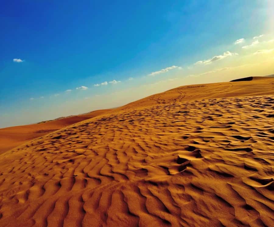 Private Gentle Sands Desert Experience Without Dune Bashing - Returning to Doha and choosing your drop-off