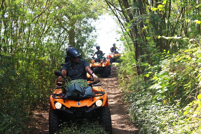 Private Island Tour by ATV / QUAD - Local stories from Manu, Caleb, and other guides