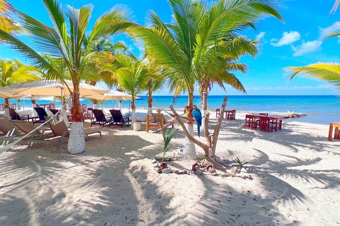 Private Jeep or Buggy Tour Snorkeling Maya Park and Tacos - San Martin Beach: two hours by the sea