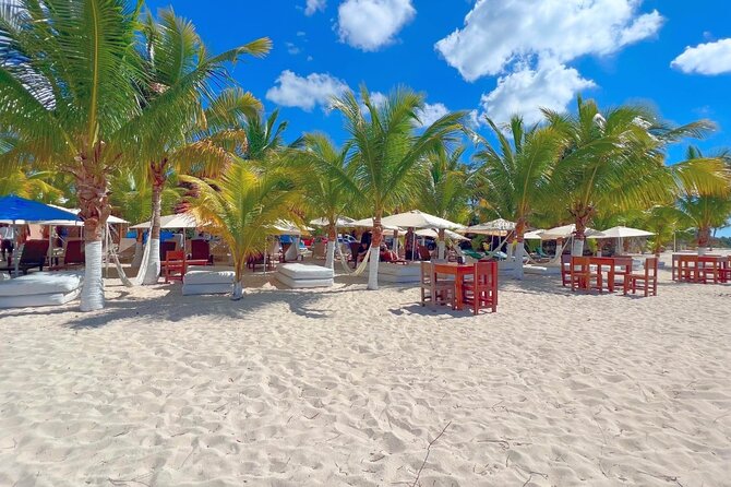Private Jeep or Buggy Tour Snorkeling Maya Park and Tacos - Timing, pickup, and cruise ship planning