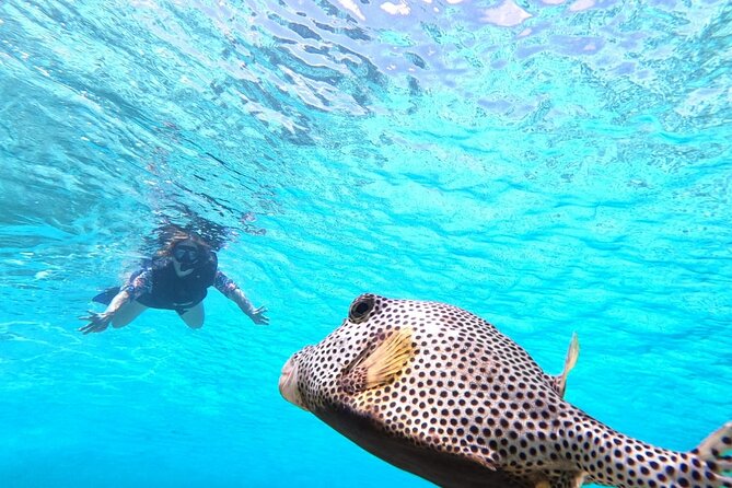 Private Jeep Tour & ATV to Jade Cavern Cenote: All Inclusive - El Mirador and Cozumel’s Rough East Coast