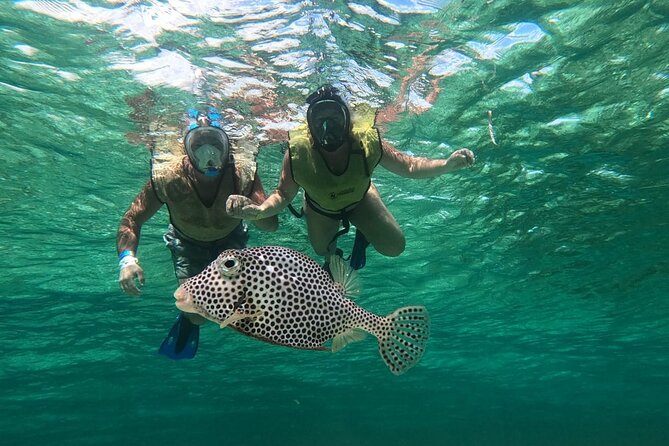 Private Jeep Tour & ATV to Jade Cavern Cenote: All Inclusive - San Martin Beach and a Chance to Eat Ceviche
