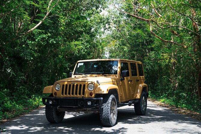 Private Jeep Tour Full Experience and ATV with Caverns & Cedral - Snorkeling and sea time at Skyreef