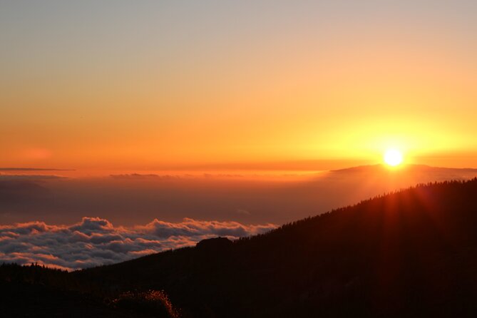 Puerto de la Cruz: Buggy Teide Sunset National Park - Who should book this outing