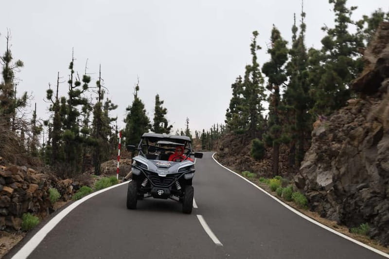 Puerto de la Cruz: Teide National Park Buggy Tour - Is $211 good value for this buggy trip?