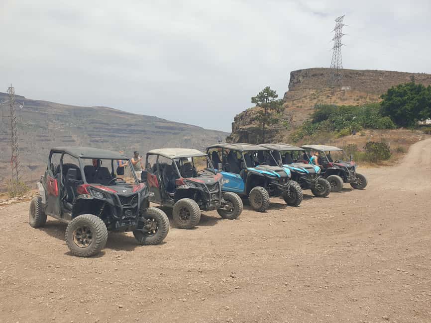 Puerto Rico de Gran Canaria: Offroad Buggy Tour - Should you book the Puerto Rico buggy tour?