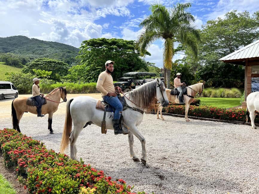 Punta Cana: Buggy and Zipline Adventure at La Hacienda - Flying across the jungle on a 2-kilometer zipline
