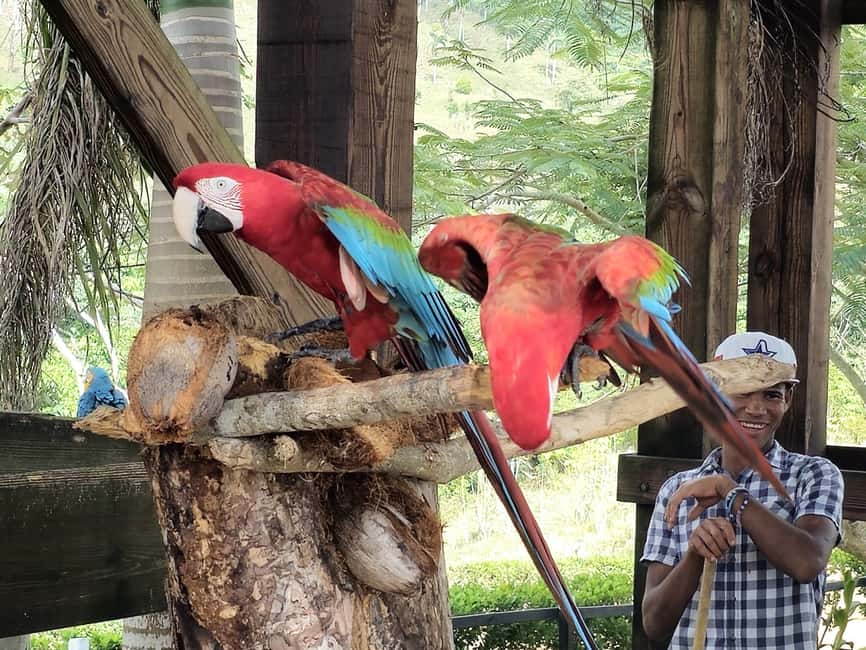 Punta Cana: Buggy and Zipline Adventure at La Hacienda - The 20-meter quick jump adds a sharper thrill