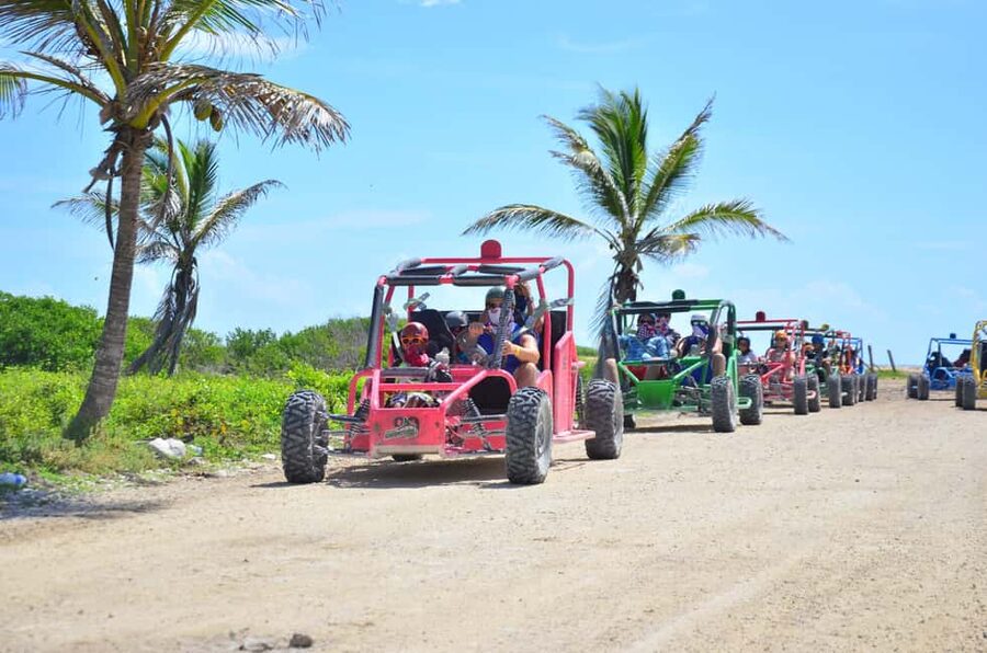 Punta Cana: Extreme Buggy Tour with River Cave & Macao Beach - The coffee, cocoa, and mamajuana stop