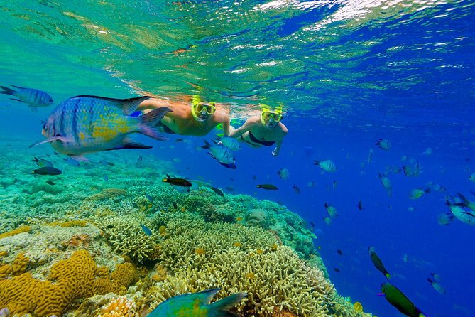 Punta Cana Snorkeling Cruise and Dune buggy Combo Adventure - Boarding the catamaran from Cabeza de Toro