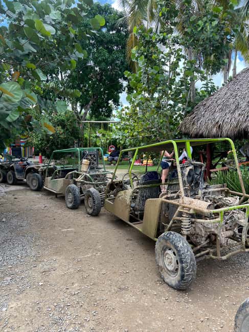 Punta Cana: Wild Off-Road Dune Buggy Adventure - Coffee, chocolate, and mamajuana at an organic farm