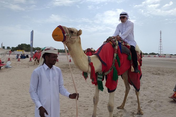Qatar Gold Dune Safari, Dune Bashing,Camel Ride,Sand Boarding,Inland Sea Desert - Khor Al Udaid, where desert meets water