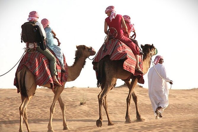 Qatar Sunset Desert Safari: Dune Bashing & Golden Sands Adventure - From Doha to the open desert at 3:00 pm