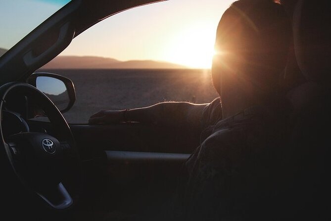 Qatar Sunset Desert Safari: Dune Bashing & Golden Sands Adventure - Who will enjoy this afternoon most