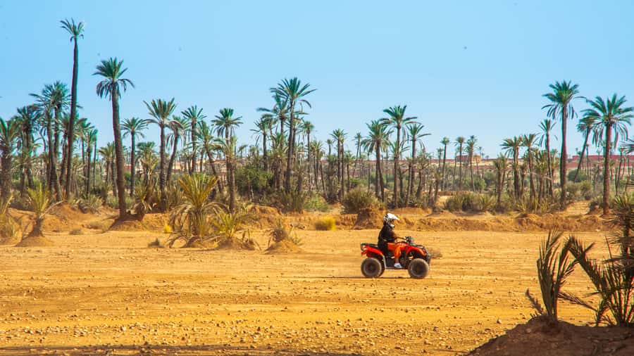 Quad Bike Activity in Marrakech Palmeraie - How the $30 price works out