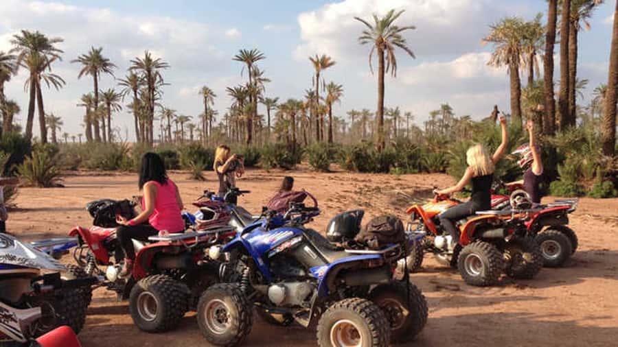 Quad Bike Activity in Marrakech Palmeraie - Should you book the Palmeraie quad bike activity?