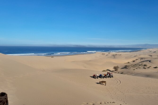 Quad Bike and Sandboarding on Sand Dunes Wild Beach - Why the changing terrain makes this ride worthwhile