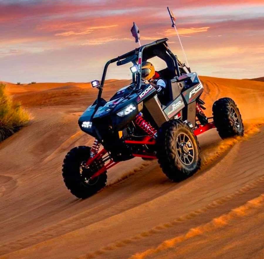 Quad Bike/Buggy, Desert Safari, Camel Ride, Dune Bashing - Food, drinks, and what to bring