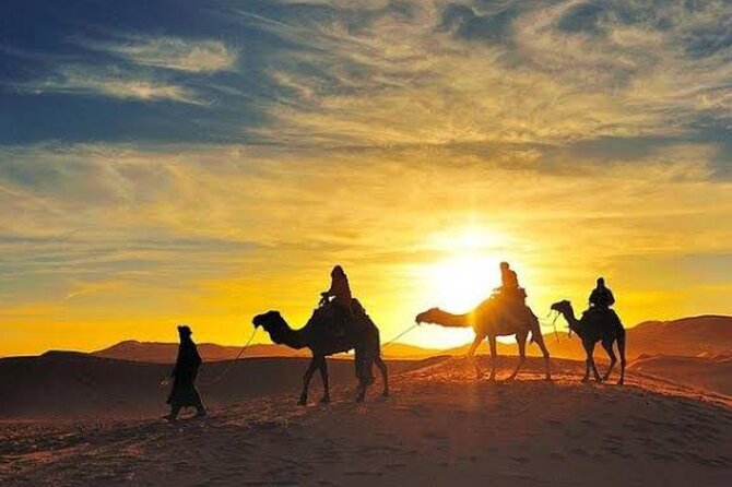 Quad Bike & Camel Ride & Dinner Show In Agafay Desert - Quad Biking Through the Agafay Desert