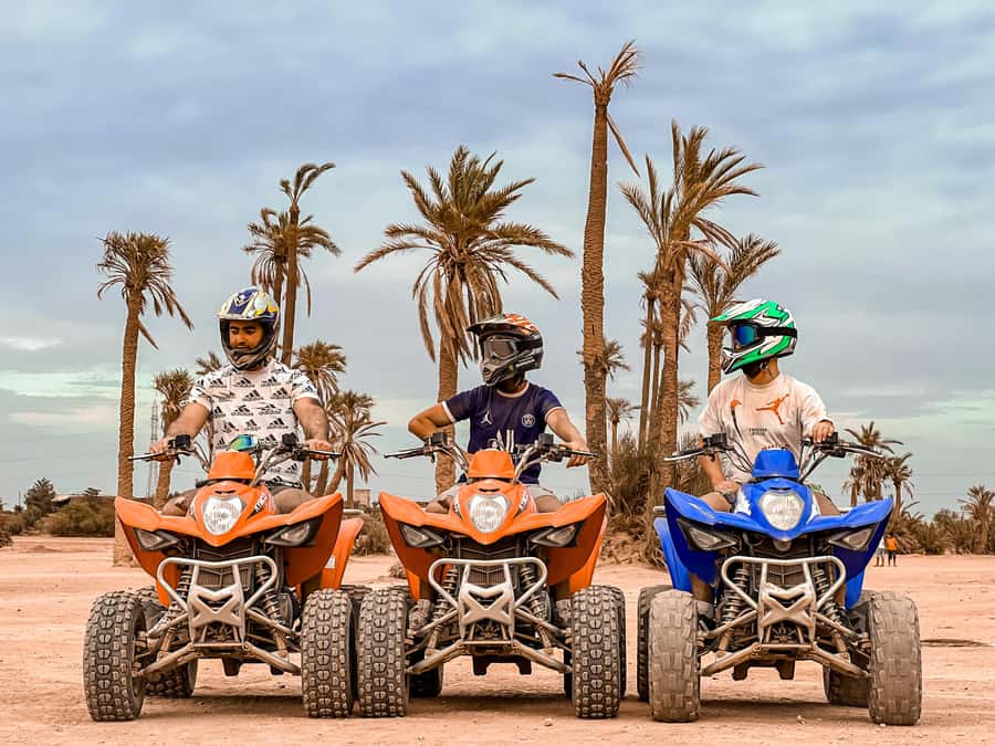 Quad biking adventure in Marrakech - From Les calèches to the palm groves