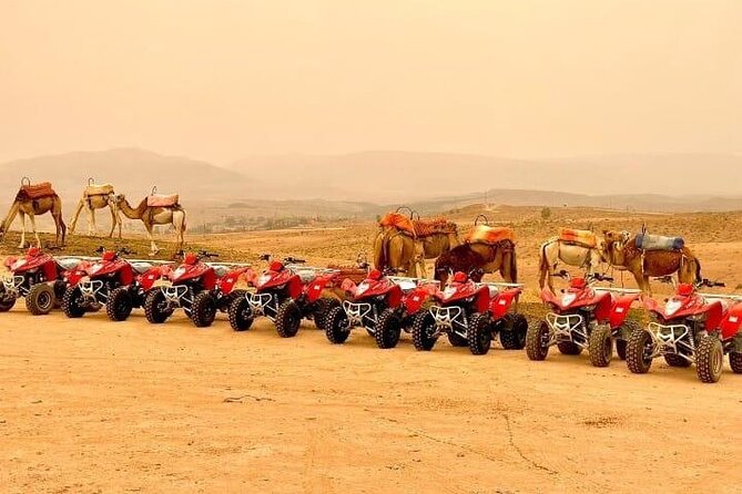 Quad Biking Half Day And Camel Ride In Sunset - Key points to know before booking