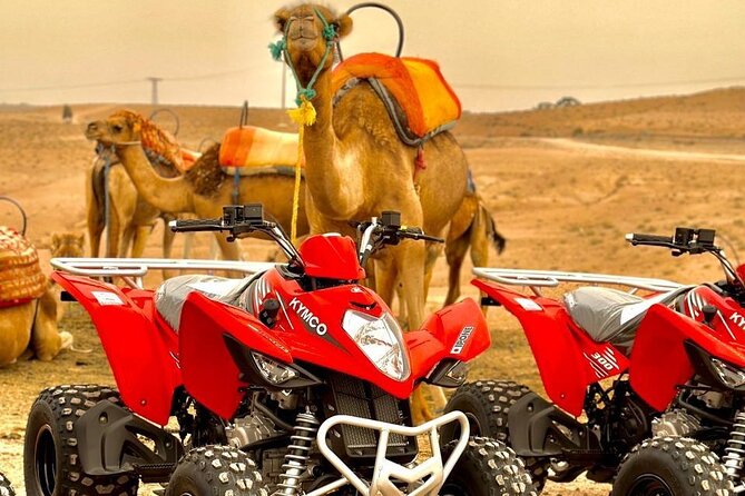 Quad Biking Half Day And Camel Ride In Sunset - Two Agadir outings in one day