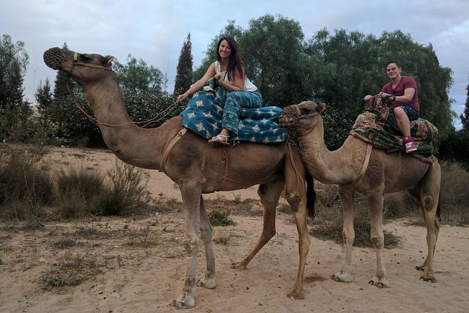 Quad Biking Half Day And Camel Ride In Sunset - A slower ride toward the sunset