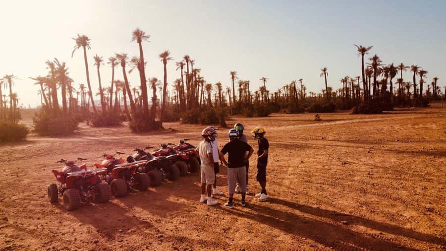 Quad biking in Marrakech's desert palm grove - Key points to know before booking