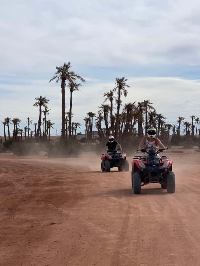 Quad biking in Marrakech's desert palm grove - Photos, views, and the best time to go
