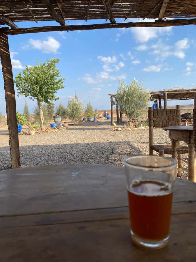 Quad biking in Marrakech's desert palm grove - Guides, language, and the feel of the ride