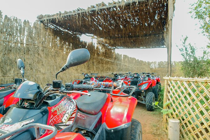 Quad Biking on the Beach and Forest Dunes with Pickup from Agadir - A tea break at a bird oasis