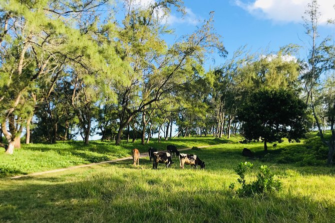 Quad Excursion South Mauritius 35km - Le Bouchon, a brief coastal pause