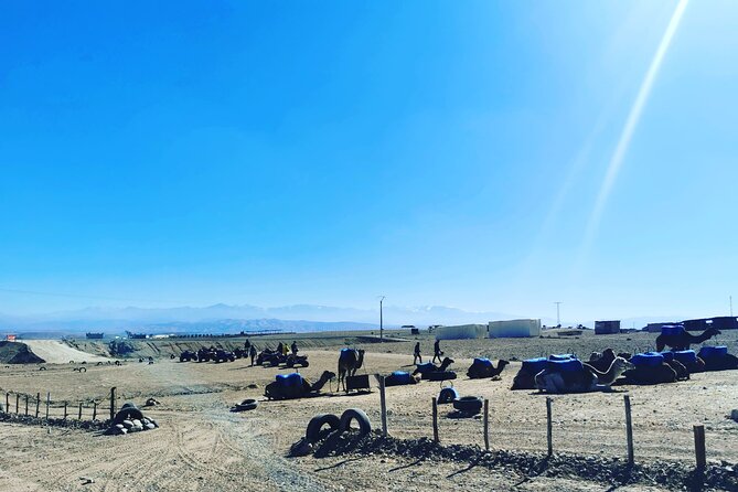 Quad Ride In The Agafay Desert - Who will enjoy this ride most