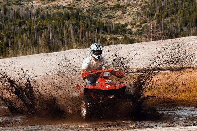 Quad Safari Experience in Alanya (Adventure Tour) w/ Free Hotel Transfer - Weather, cancellation, and pickup details