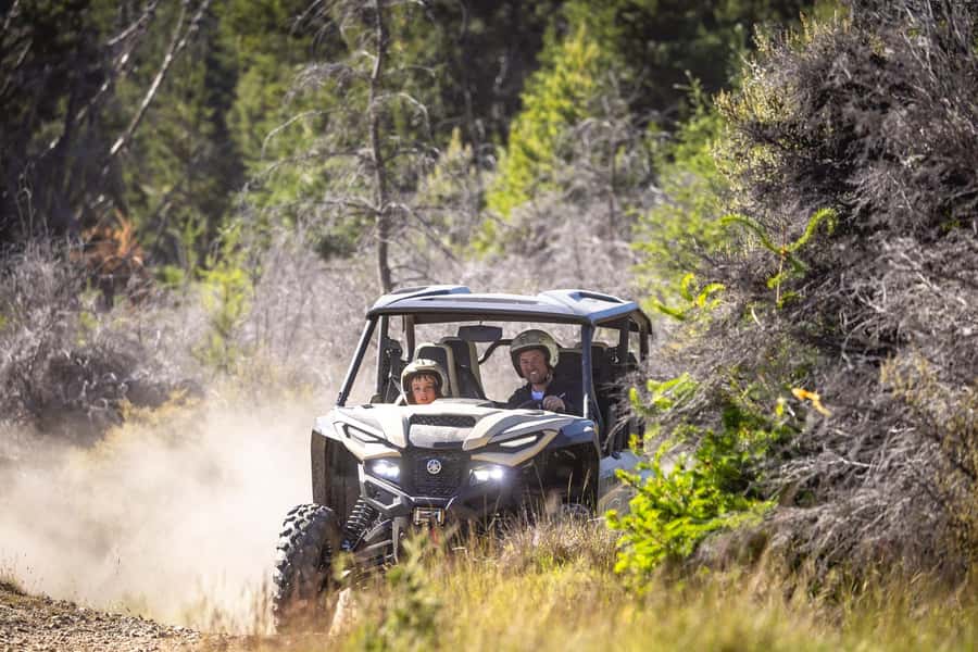 Queenstown: Self Drive Guided Buggy Tour - Key points at a glance