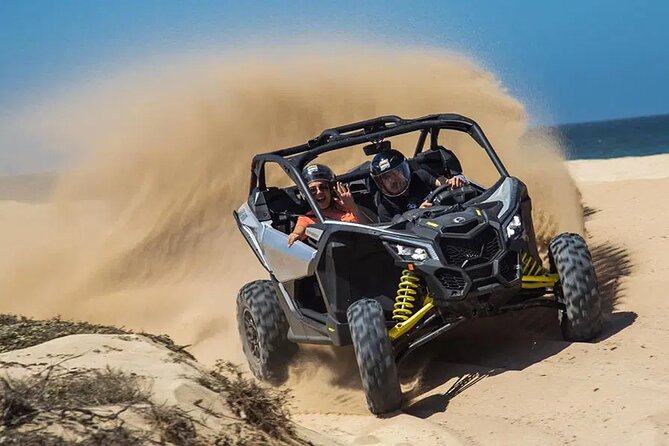 Race the Baja 1000 — Migriño Desert & Beach Off‑Road Adventure - The desert stop: cacti, mountains, and dry riverbeds