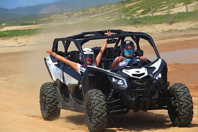 Race the Baja 1000 — Migriño Desert & Beach Off‑Road Adventure - Winter whale watching from the beach
