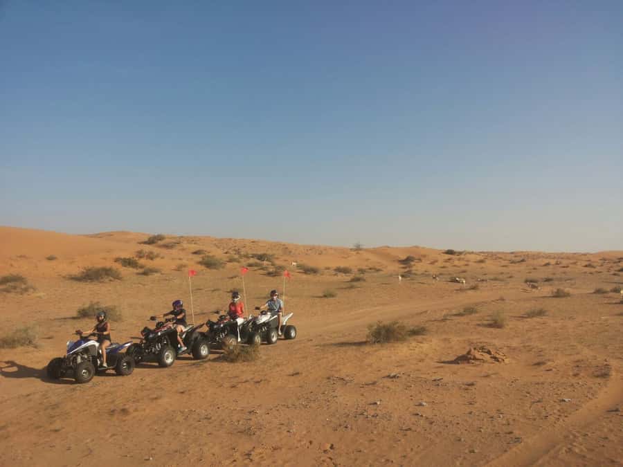 Ras Al Khaimah: Guided Quad Bike Tour - The Longer Desert Program
