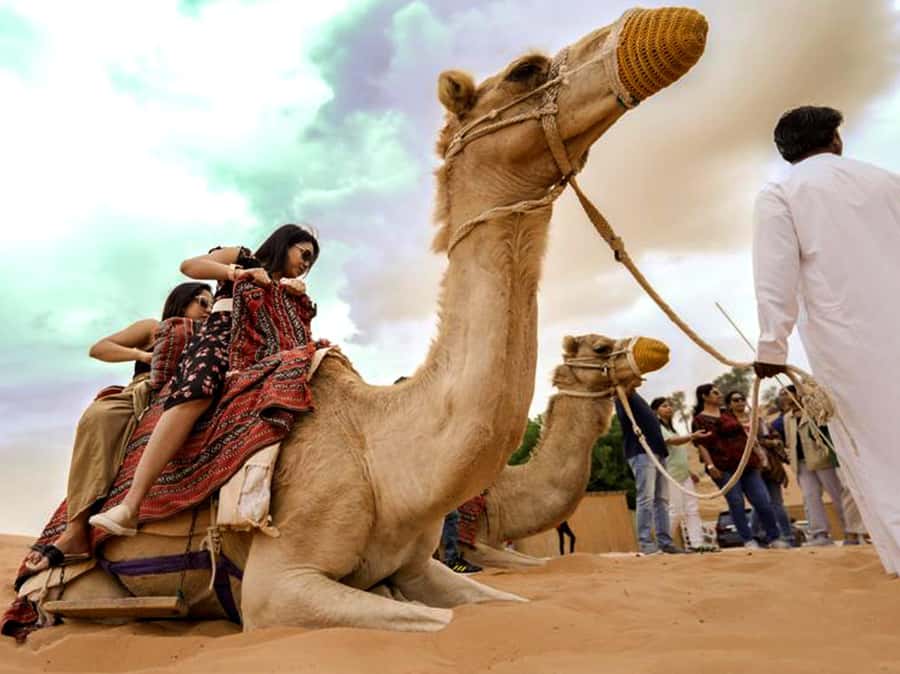 Ras Al Khaimah: Guided Quad Bike Tour - What $68 Buys You