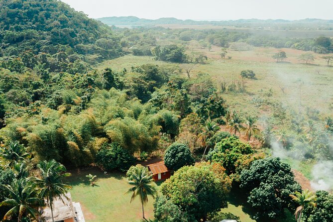 Rastafari Cultural ATV Community Experience from Montego Bay - Swimming in a natural mineral pool