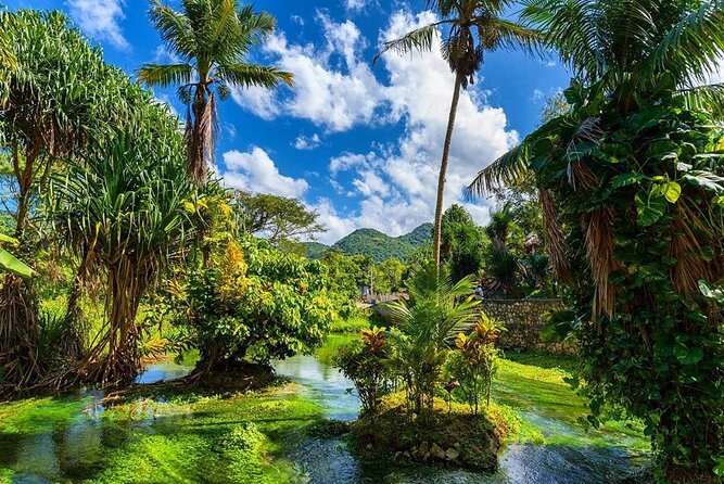 Rastafari Cultural ATV Community Experience from Montego Bay - The ganja farm and Jamaican plant knowledge