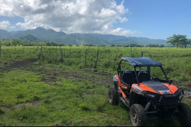 Rastafari Cultural ATV Community Experience from Montego Bay - Fruit tasting straight from the trees