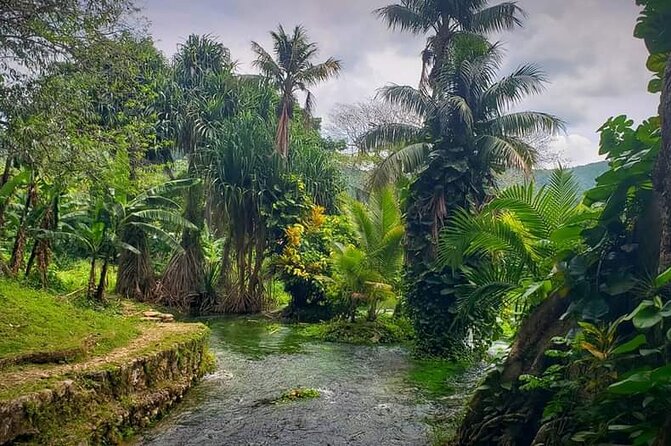 Rastafari Cultural ATV Community Experience from Negril - The natural mineral pool stop